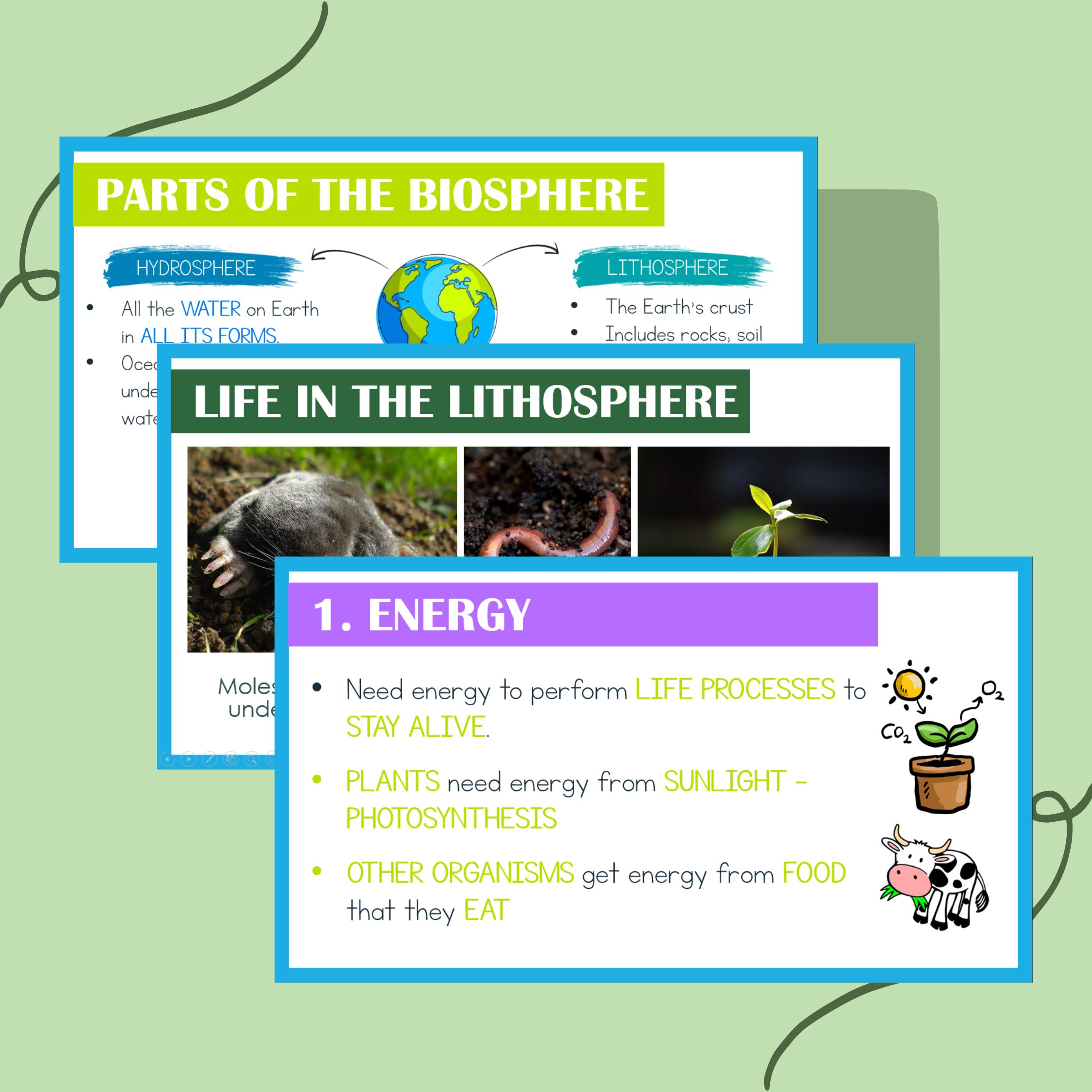 The Biosphere PowerPoint • Teacha!