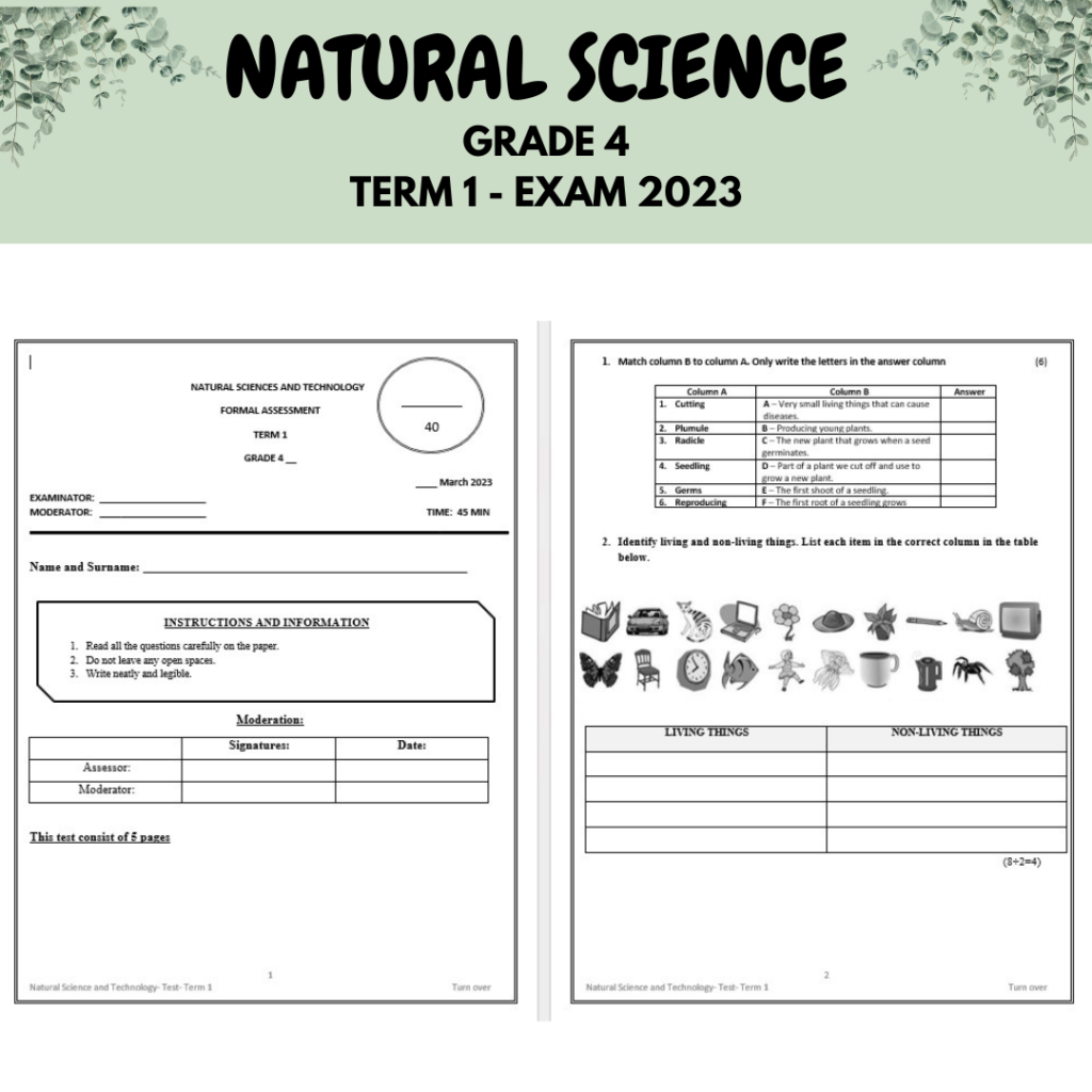 grade 4 natural science exam papers pdf term 2 term 3