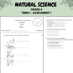 Natural Science And Technology Grade 4 Term 1 Assessment/test 2023 ...