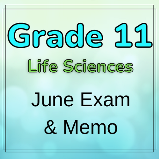 life science grade 11 assignment term 2 2023