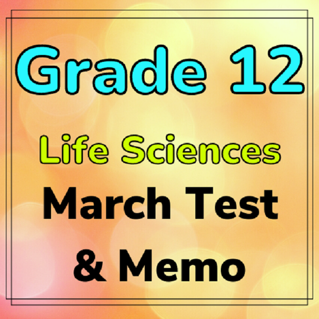 life sciences assignment grade 12 term 3 2023 memo