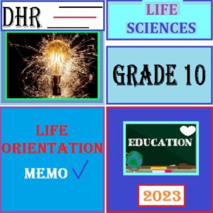 grade 10 life orientation assignment term 3