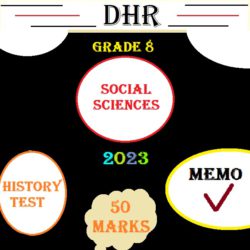 grade 8 history essay term 3