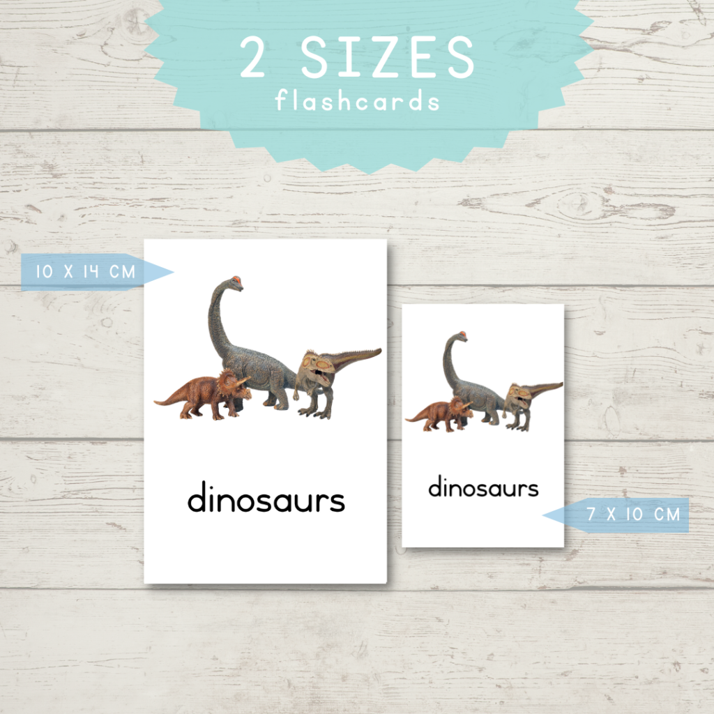 Dinosaur Flashcards – A4 Printing | 3 Sizes • Teacha!