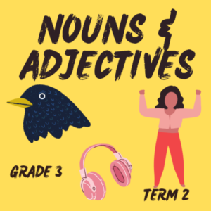 Nouns And Adjectives • Teacha!