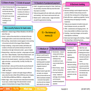 Grade 7 Economic and Management Sciences Term 1 (VIA Afrika) • Teacha!