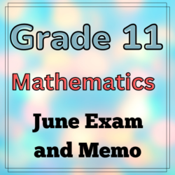 mathematics assignment grade 11 term 2