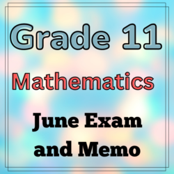 grade 11 tourism control test