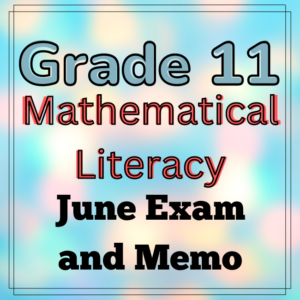 mathematics literacy grade 11 assignment term 3 2023