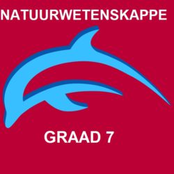 2022 Natuurwetenskappe Gr 8 Kwartaal 7 Toets • Teacha!