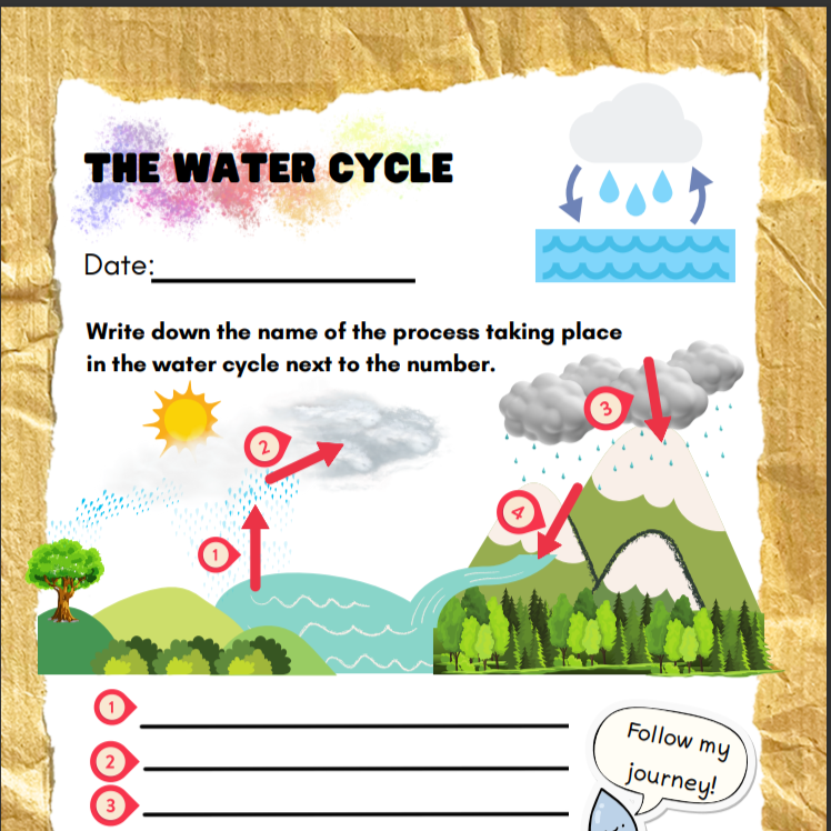 The Water Cycle • Teacha!