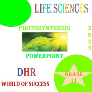 life science grade 11 assignment term 2 photosynthesis 2023