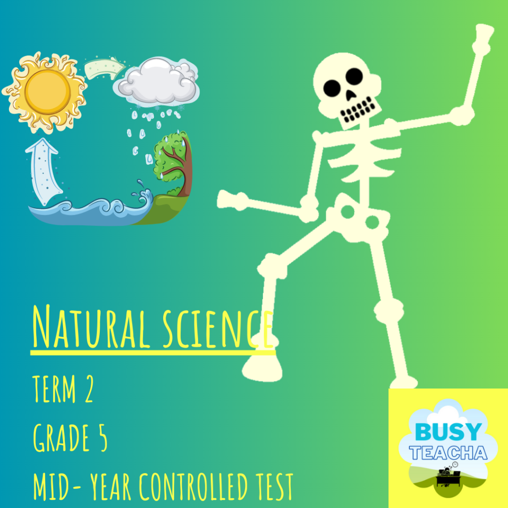 grade 5 natural science questions and answers term 2