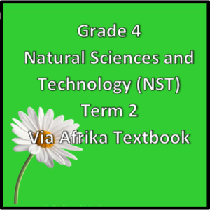 Grade 4 Natural Sciences And Technology Term 2 (NST) (VIA Afrika) • Teacha!