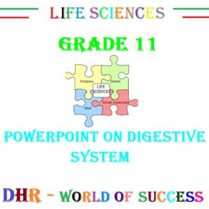 grade 11 life science assignment term 2 animal nutrition