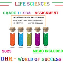 grade 11 life sciences assignment term 2 task photosynthesis