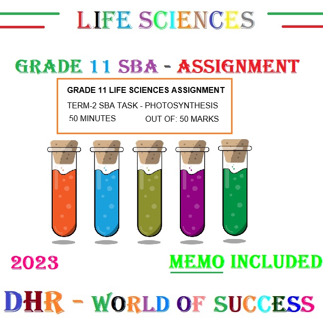 life science grade 11 assignment term 2 photosynthesis 2023