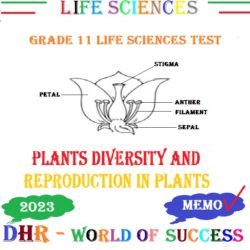 life sciences grade 11 term 2 assignment 2023