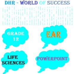 life sciences sba assignment grade 11