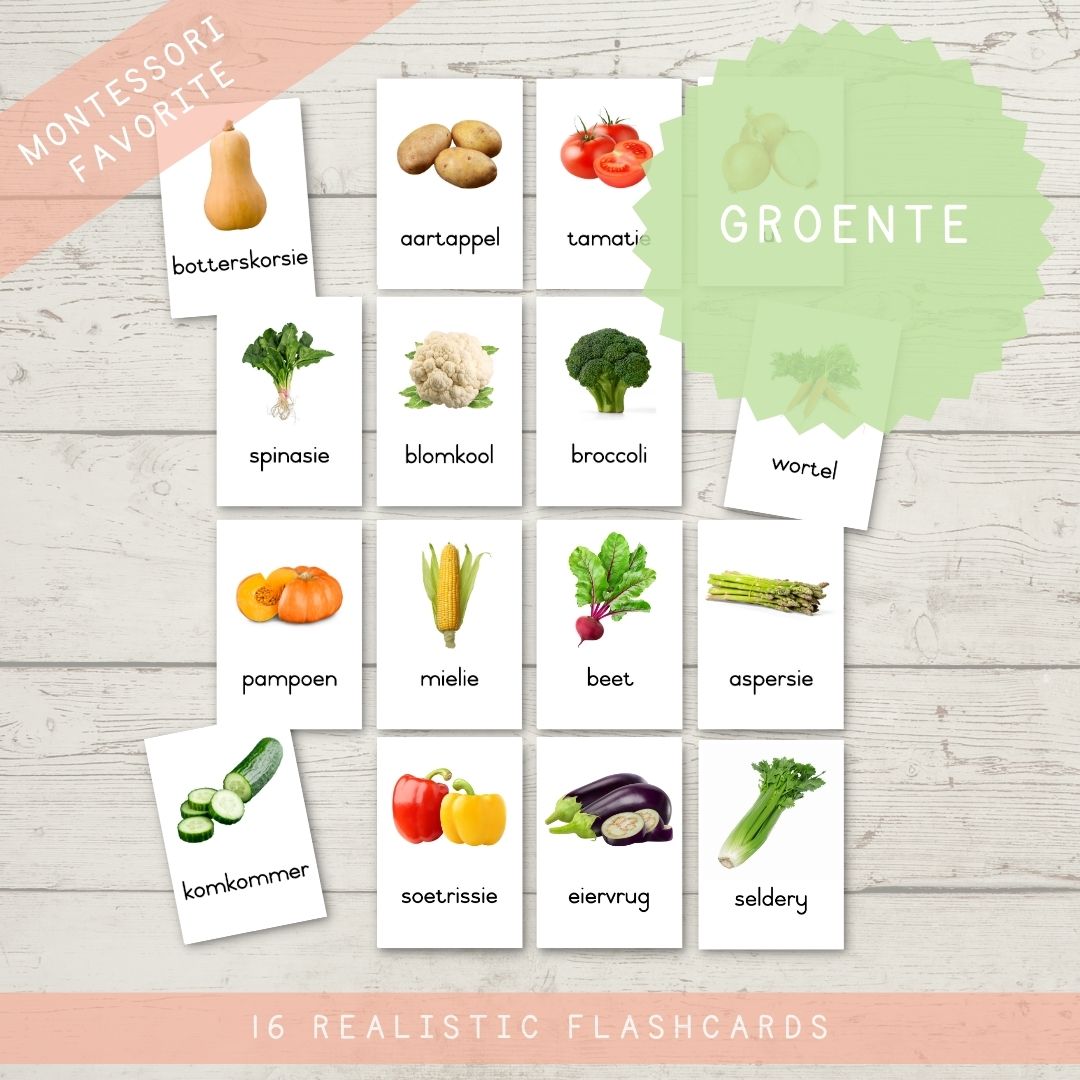 Plante Flitskaarte – A4 Printing | 3 Sizes • Teacha!