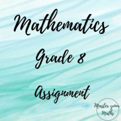 grade 8 mathematics term 1 assignment 2022