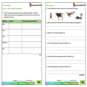 Grade 5 Natural Sciences & Technology (NST) Term 1 (Platinum ...