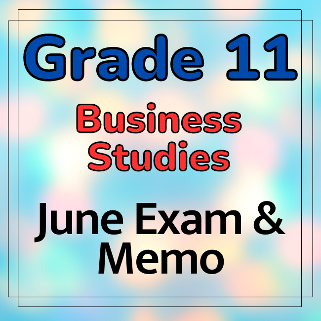 presentation of business information grade 11 essay memo term 3