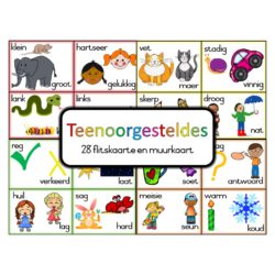 Teenoorgesteldes plakkate/muurkaarte • Teacha!