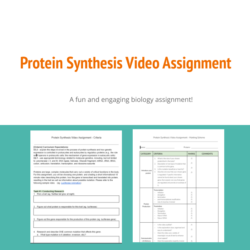 assignment on protein