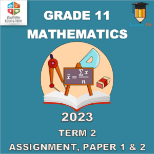 mathematics assignment term 2 grade 11 2023