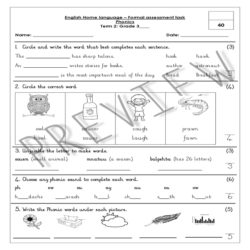 Phonics Assessment Grade 3 Term 2 • Teacha!