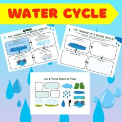 Water Cycle- A journey of water Droplet Activity Sheet • Teacha!