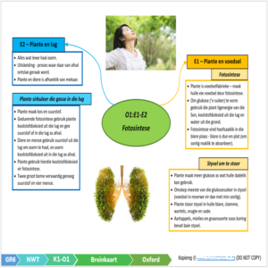 Graad 6 Natuurwetenskappe en Tegnologie (NWT) Kwartaal 1 (Oxford) • Teacha!