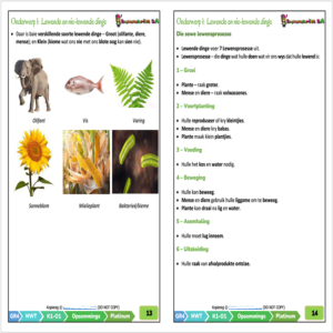 Graad 4 Natuurwetenskappe en Tegnologie Kwartaal 1 (NWT) (Platinum ...