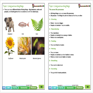 Grade 4 Natural Sciences & Technology (NST) Term 1 (Platinum ...