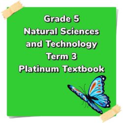 mathematical literacy assignment grade 10 2023