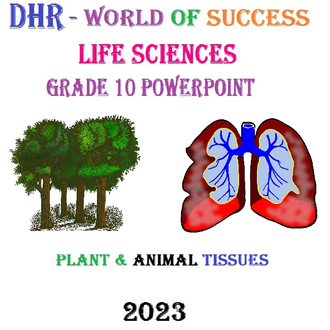 grade 10 life sciences assignment 17 may 2023