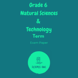 Grade 6 Creative Arts term 4 assessment • Teacha!