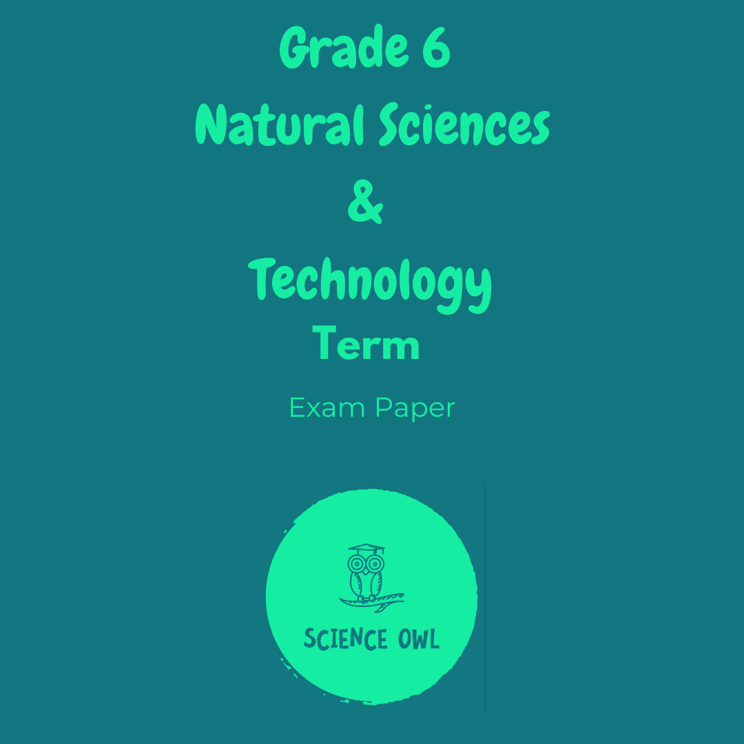 grade 6 science 2nd term paper