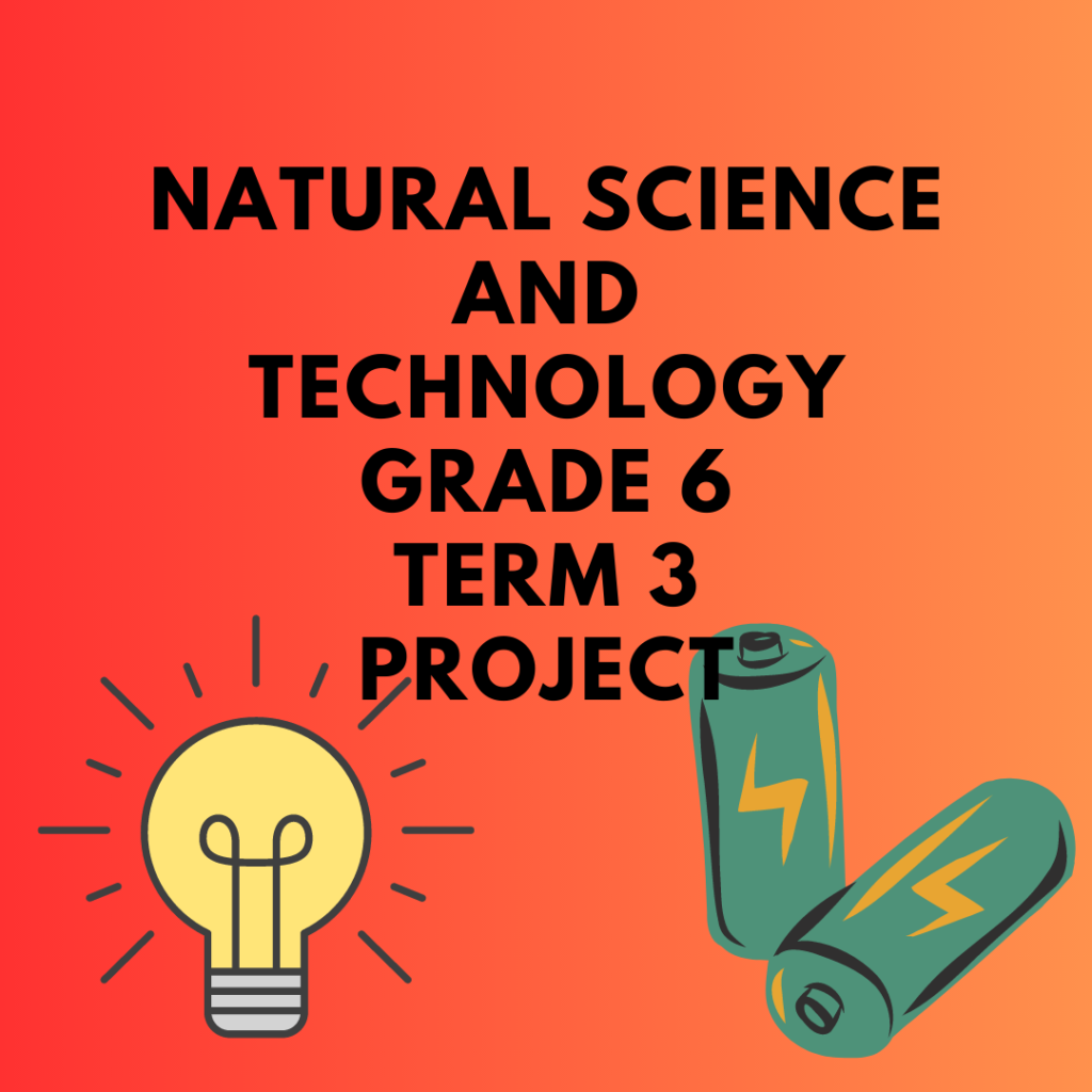 grade 6 natural science and technology term 3 project