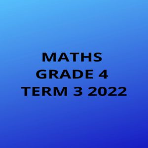 Maths Grade 4 Term 3 2022 Project • Teacha!