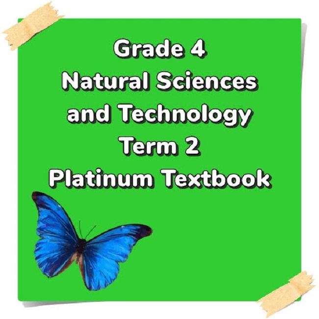 Grade 4 Natural Sciences & Technology Term 2 (Platinum) – Summaries ...