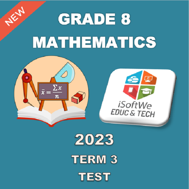 mathematics grade 8 assignment term 3