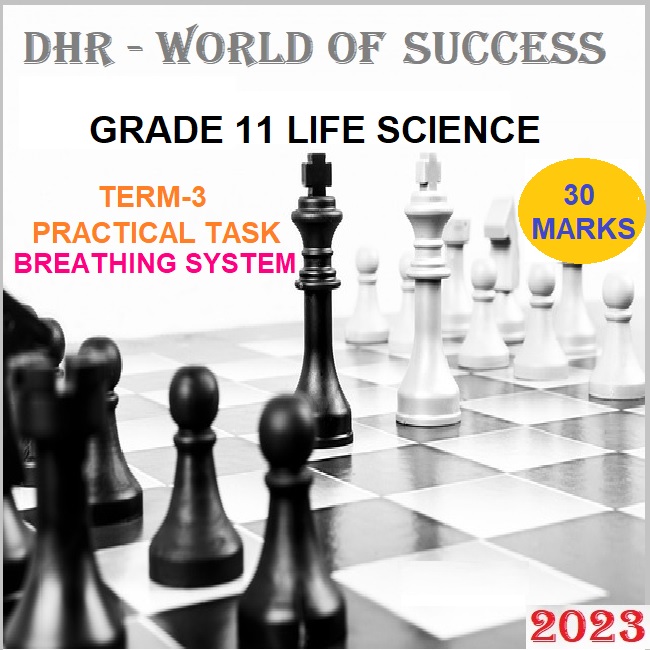 life science grade 11 assignment term 3