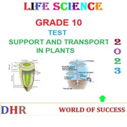 grade 10 assignment transport system in plants memorandum