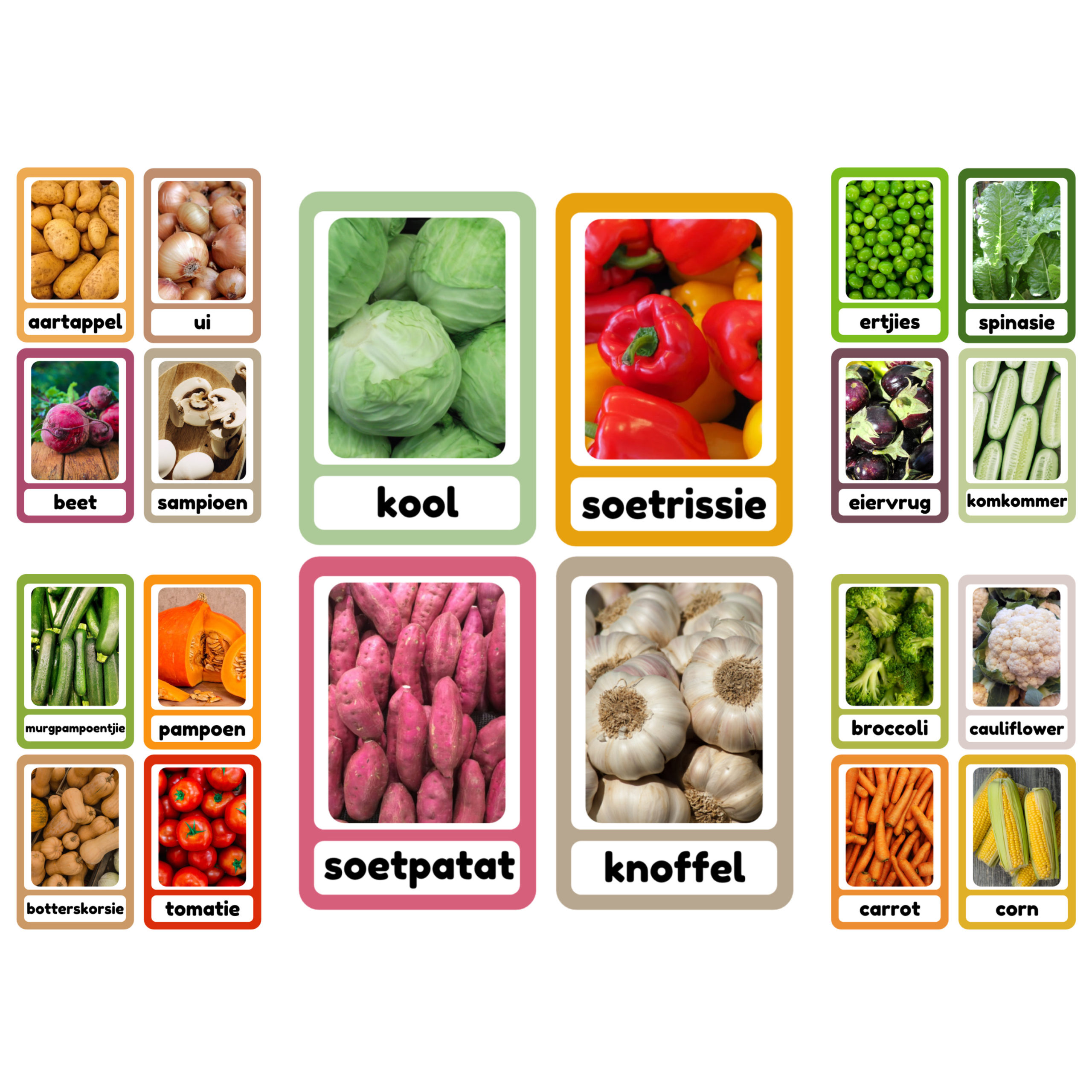 Vegetable/Groente flashcards • Teacha!