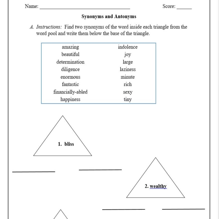 Synonyms and Antonyms (Grade 6, Zambian Curriculum)