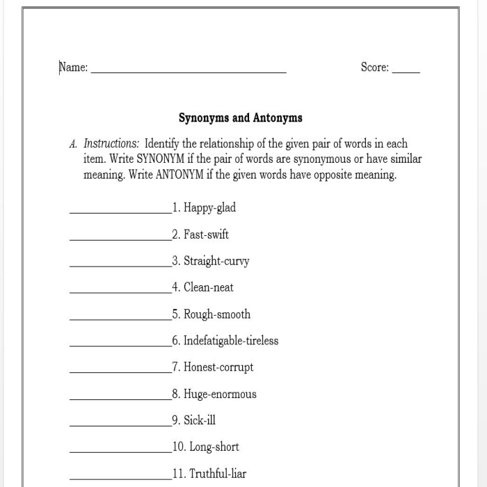 Synonyms and Antonyms (Grade 6, Zambian Curriculum)