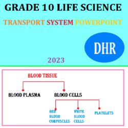 grade 10 life sciences assignment 17 may 2023