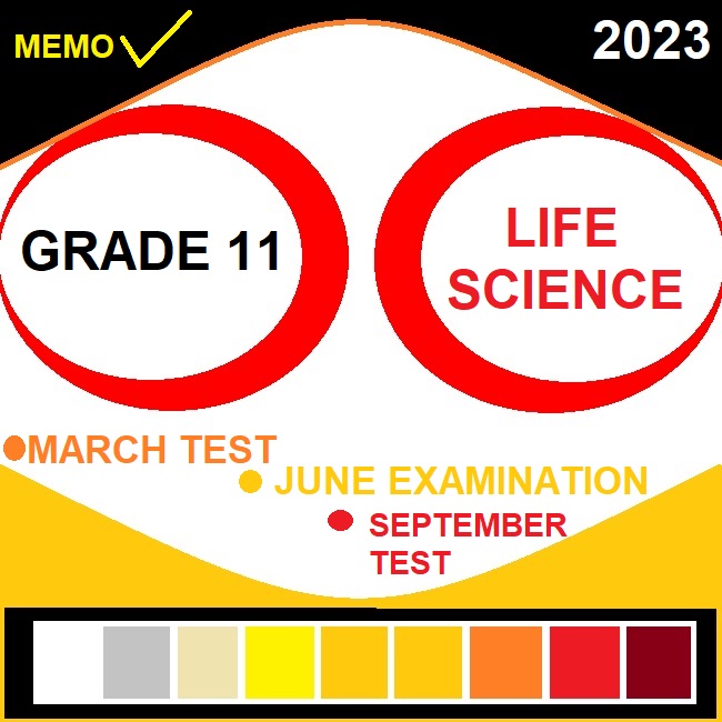 life sciences grade 11 term 2 assignment 2023